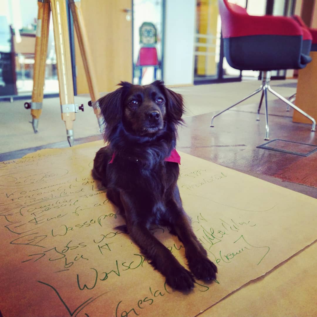 Online Marketing Rockstars