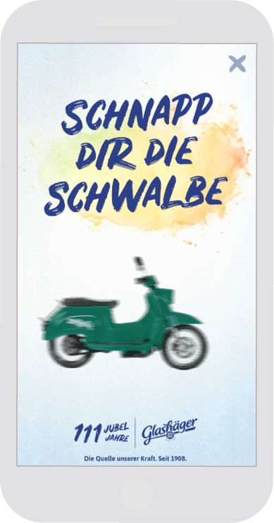 Schnapp Dir die Schwalbe